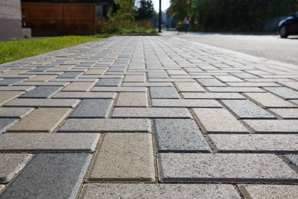 Best Driveway Paving Contractor  in Bridgman, MI
